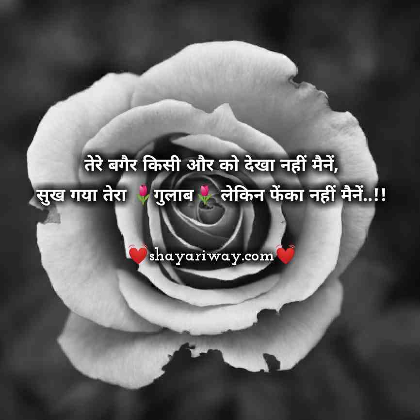 You are currently viewing Tareef Shayari | Tere Bagair Maine