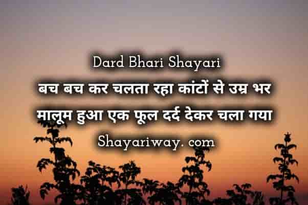 दर्द भरी शायरी, एक फूल दर्द देकर चला गया, best dard Bhari Shayari In Hindi