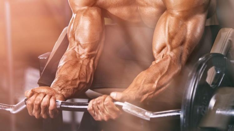You are currently viewing The Best Steroid Brands For Bodybuilding: Get Swole With The Pros!