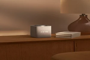 Read more about the article Yasmina Max Station — The Gold Standard of Immersive Sound in Your Home